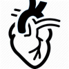 cardiac rehabilitation therapist